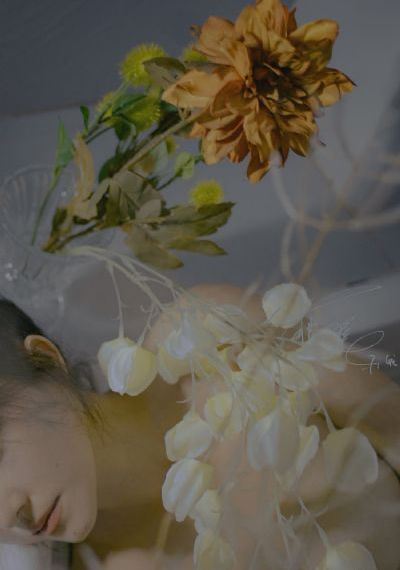 www.插插.com_DVD动漫在线观看